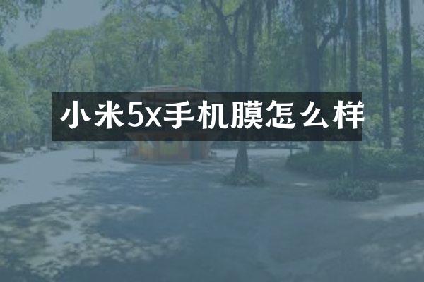 小米5x手机膜怎么样