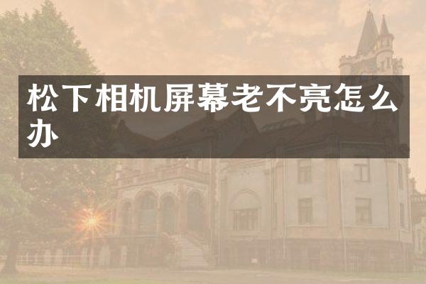 相机屏幕老不亮怎么办