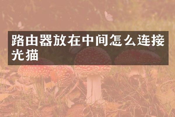 路由器放在中间怎么连接光猫