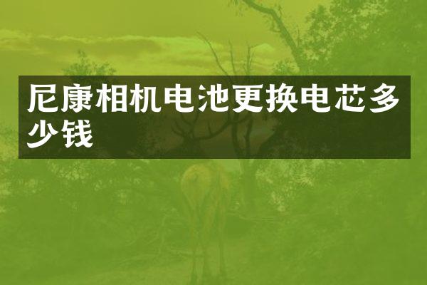 尼康相机电池更换电芯多少钱