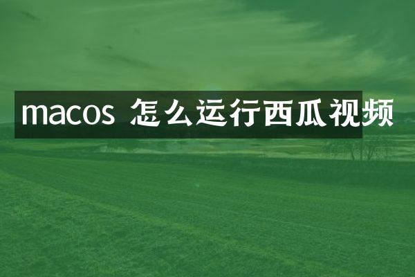 macos 怎么运行西瓜视频