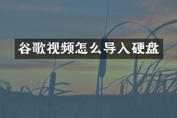 谷歌视频怎么导入硬盘