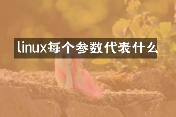 linux每个参数代表什么