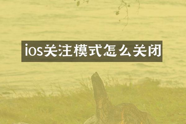 ios关注模式怎么关闭
