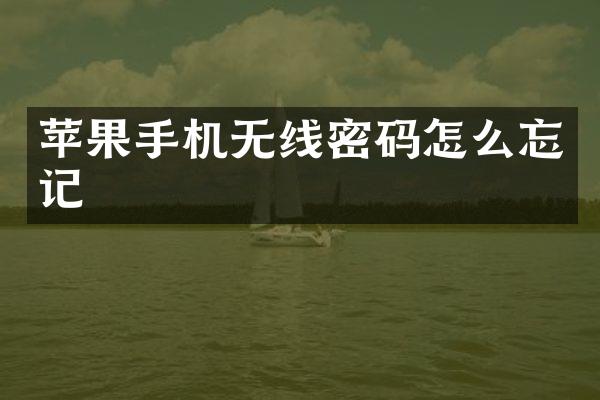 苹果手机无线密码怎么忘记
