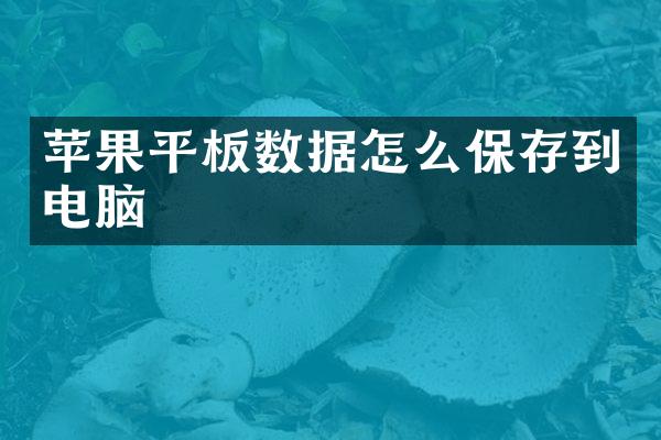 苹果平板数据怎么保存到电脑
