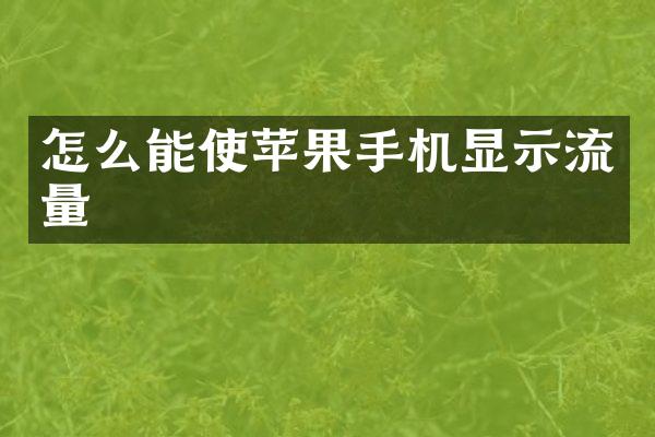 怎么能使苹果手机显示流量