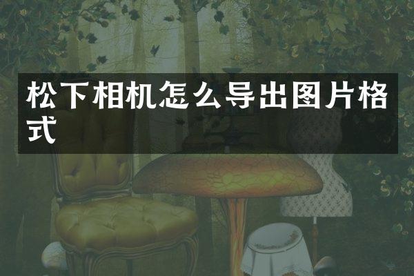 松下相机怎么导出图片格式