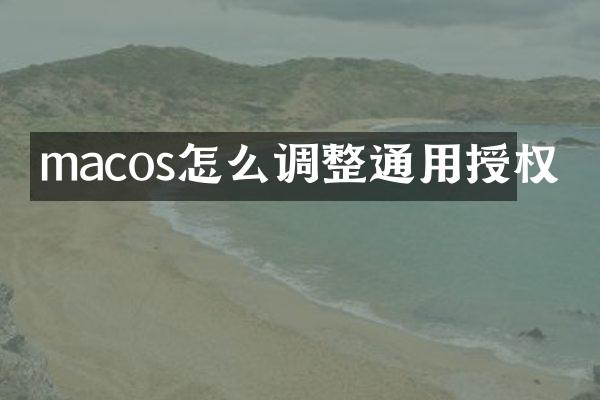 macos怎么调整通用授权