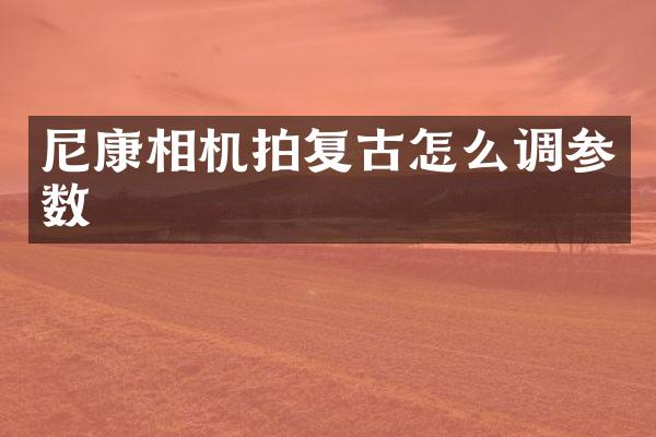 尼康相机拍复古怎么调参数