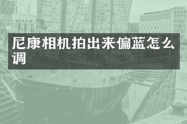 尼康相机拍出来偏蓝怎么调