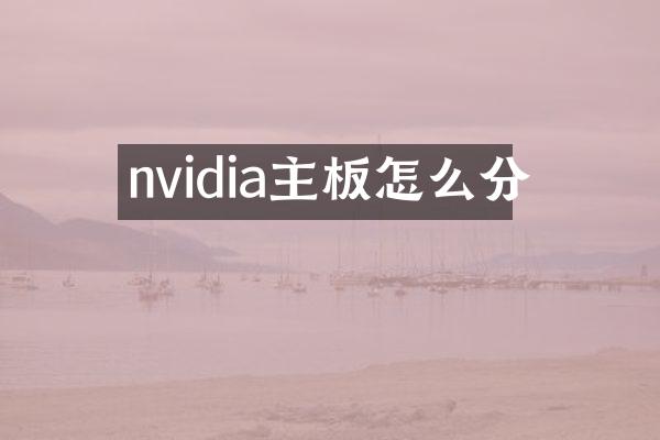 nvidia主板怎么分