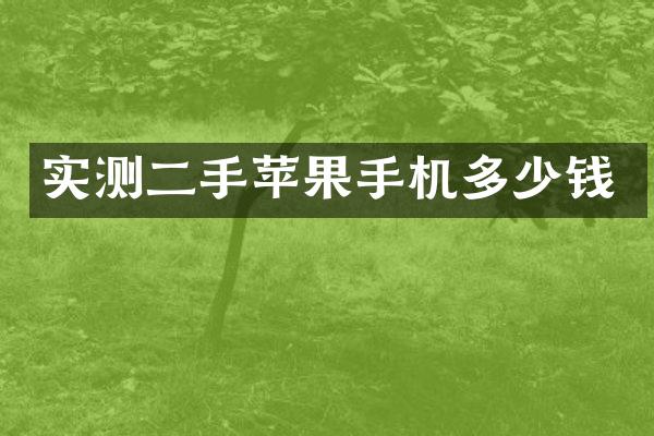 实测二手苹果手机多少钱