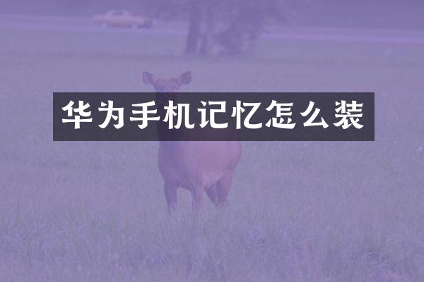 华为手机记忆怎么装