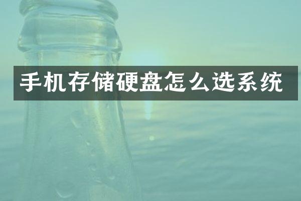 手机存储硬盘怎么选系统