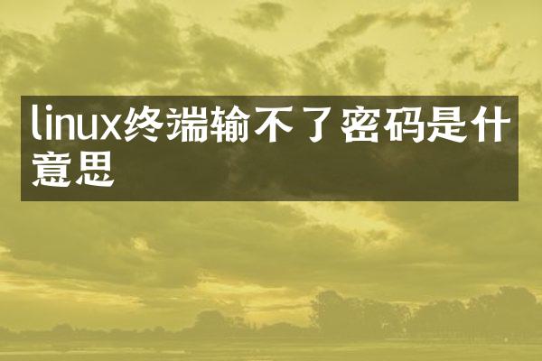 linux终端输不了密码是什么意思