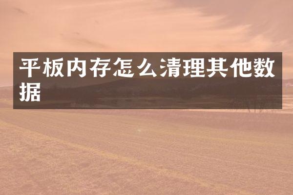 平板内存怎么清理其他数据