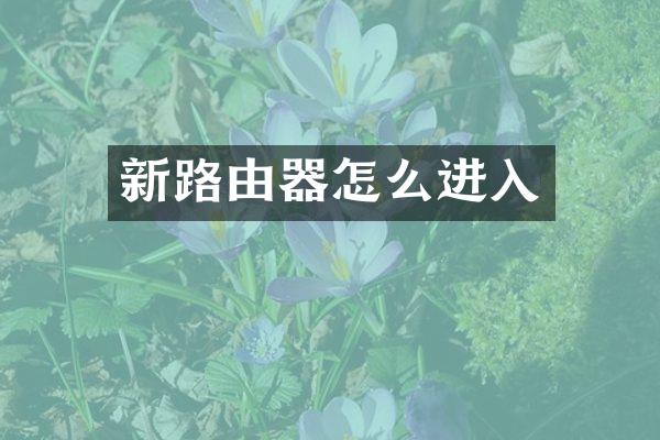 新路由器怎么进入