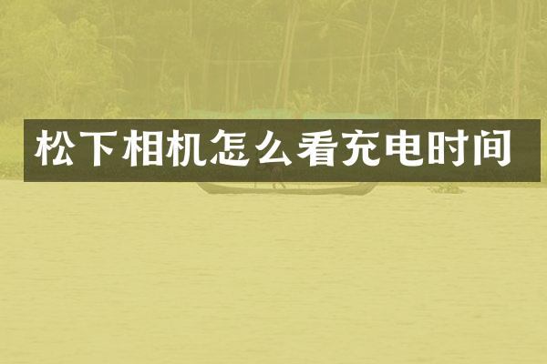 松下相机怎么看充电时间