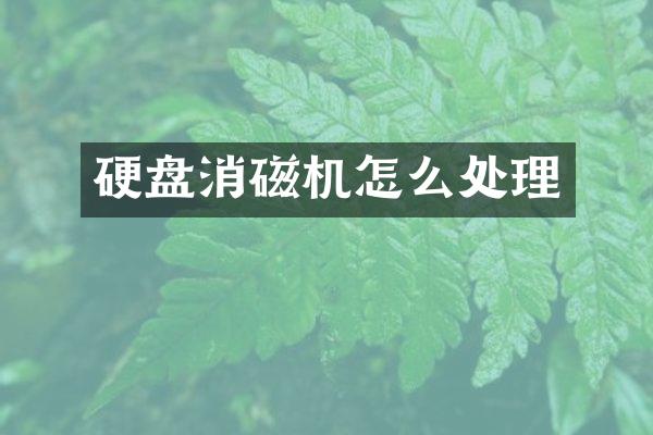 硬盘消磁机怎么处理