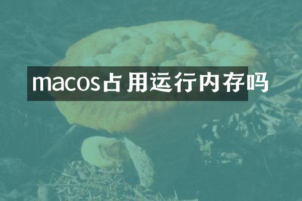 macos占用运行内存吗