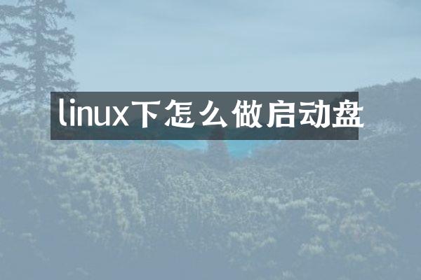 linux下怎么做启动盘