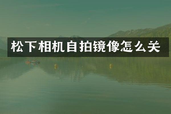 松下相机自拍镜像怎么关