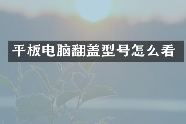 平板电脑翻盖型号怎么看