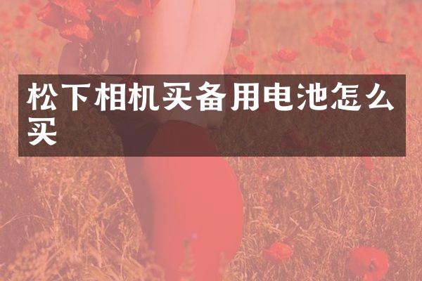 松下相机买备用电池怎么买