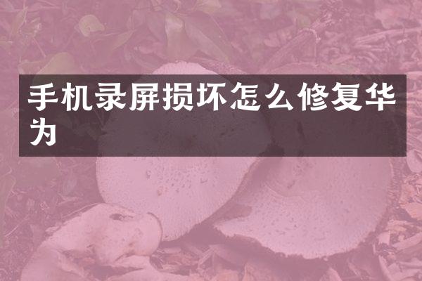 手机录屏损坏怎么修复华为