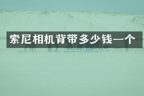 相机背带多少钱一个