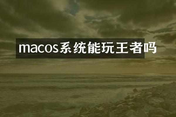 macos系统能玩王者吗