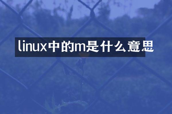 linux中的m是什么意思