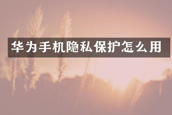 华为手机隐私保护怎么用