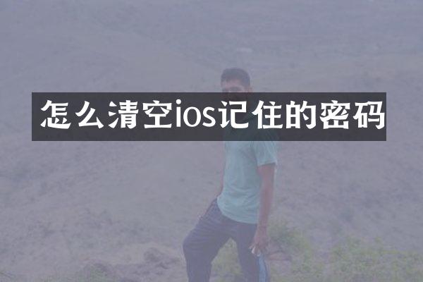 怎么清空ios记住的密码