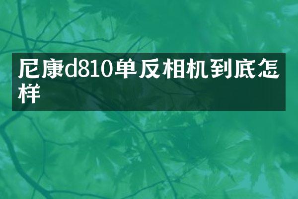 尼康d810单反相机到底怎么样