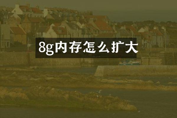 8g内存怎么扩大