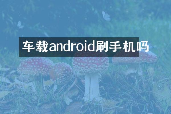 车载android刷手机吗