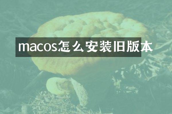 macos怎么安装旧版本