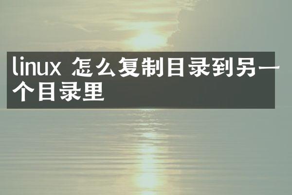 linux 怎么复制目录到另一个目录里
