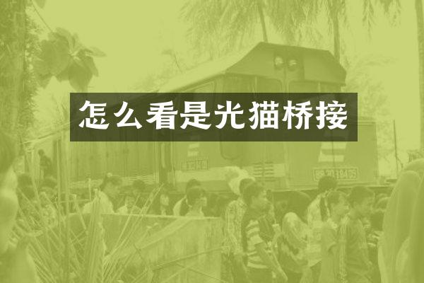 怎么看是光猫桥接