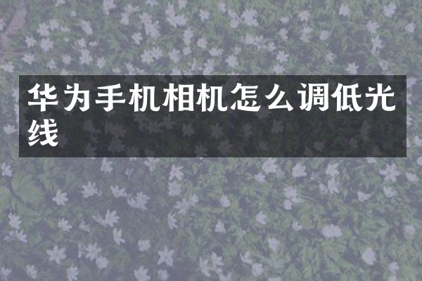 华为手机相机怎么调低光线