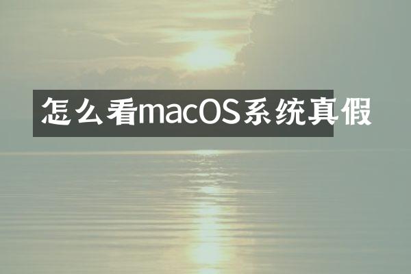 怎么看macOS系统真假