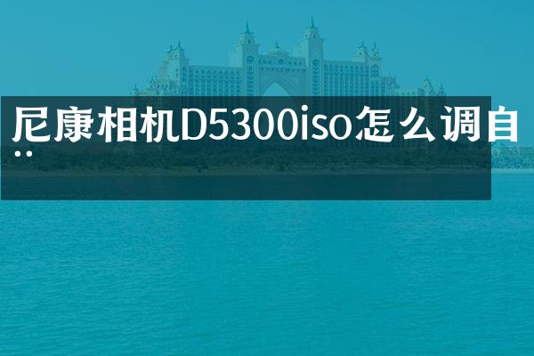 尼康相机D5300iso怎么调自动