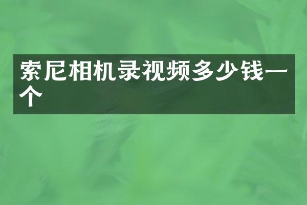 索尼相机录视频多少钱一个