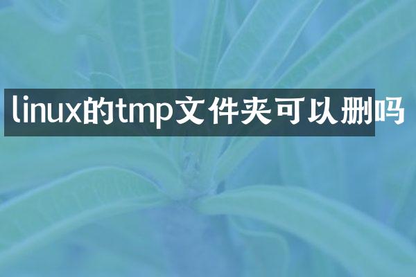 linux的tmp文件夹可以删吗