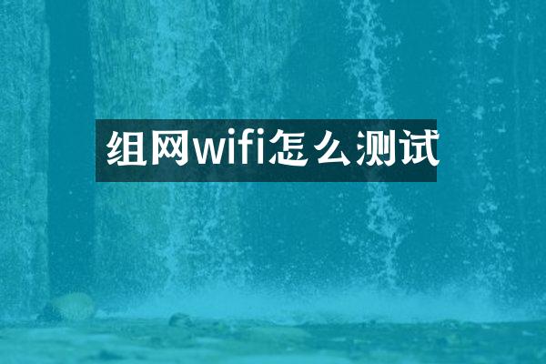 组网wifi怎么测试