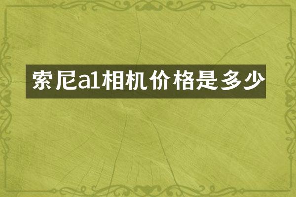 索尼a1相机价格是多少