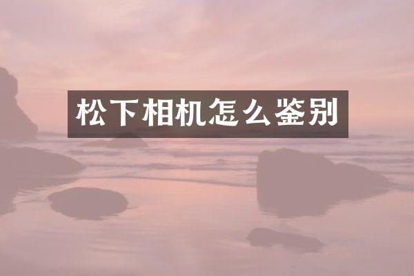 松下相机怎么鉴别