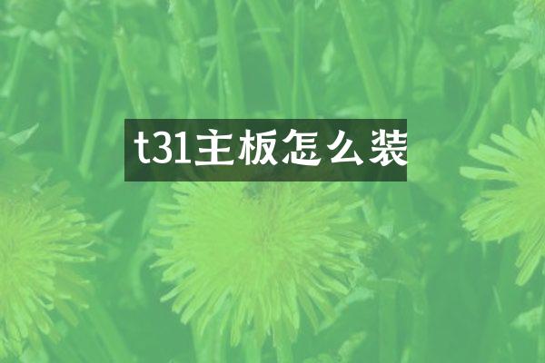 t31主板怎么装
